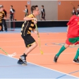 Florbal TH - FbK Horní Suchá (Starší žáci)