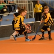 1.turnaj sezóna 2013/2014 (Přípravka)