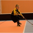1.turnaj sezóna 2013/2014 (Přípravka)