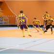 Florbal TH - SK Florbal Benešov (Junioři)