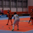 Florbal TH - FBC ČPP Software Ostrava (Dorostenky)