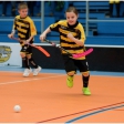 Florbal TH - 1.FBC Karviná (Přípravka)