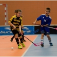 Florbal TH - 1.FBC Karviná (Přípravka)