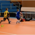 Florbal TH - 1.FBC Karviná (Přípravka)