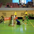 6.turnaj sezóna 2013/2014 (Přípravka)