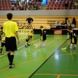 6.turnaj sezóna 2013/2014 (Přípravka)
