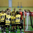 6.turnaj sezóna 2013/2014 (Přípravka)