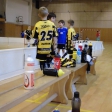 8.turnaj sezóna 2013/2014 (Přípravka)