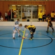 5.turnaj sezóna 2014/2015 (Přípravka)