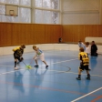 5.turnaj sezóna 2014/2015 (Přípravka)