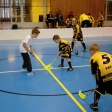 5.turnaj sezóna 2014/2015 (Přípravka)