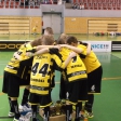 7.turnaj sezóna 2014/2015 (Přípravka)