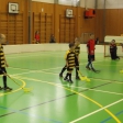 8.turnaj sezóna 2014/2015 (Přípravka)