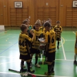 8.turnaj sezóna 2014/2015 (Přípravka)