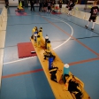 9.turnaj sezóna 2015/2016 (Elévové)