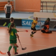 10. turnaj sezóna 2015/2016 (Přípravka)