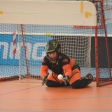 10. turnaj sezóna 2015/2016 (Přípravka)