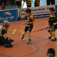 10. turnaj sezóna 2015/2016 (Přípravka)