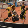 10. turnaj sezóna 2015/2016 (Přípravka)