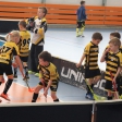 10. turnaj sezóna 2015/2016 (Přípravka)