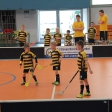 10. turnaj sezóna 2015/2016 (Přípravka)
