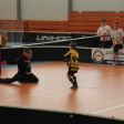 10. turnaj sezóna 2015/2016 (Přípravka)