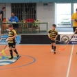 10. turnaj sezóna 2015/2016 (Přípravka)