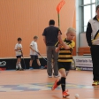 10. turnaj sezóna 2015/2016 (Přípravka)