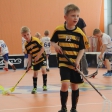 10. turnaj sezóna 2015/2016 (Přípravka)