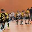 10. turnaj sezóna 2015/2016 (Přípravka)