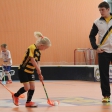 10. turnaj sezóna 2015/2016 (Přípravka)