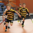 10. turnaj sezóna 2015/2016 (Přípravka)