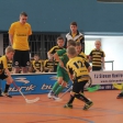 10. turnaj sezóna 2015/2016 (Přípravka)