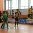10. turnaj sezóna 2015/2016 (Přípravka)