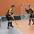 10. turnaj sezóna 2015/2016 (Přípravka)
