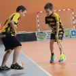 10. turnaj sezóna 2015/2016 (Přípravka)