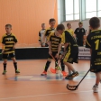 10. turnaj sezóna 2015/2016 (Přípravka)