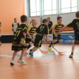 10. turnaj sezóna 2015/2016 (Přípravka)