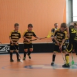10. turnaj sezóna 2015/2016 (Přípravka)