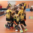 10. turnaj sezóna 2015/2016 (Přípravka)