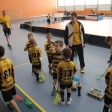 10. turnaj sezóna 2015/2016 (Přípravka)