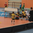 10. turnaj sezóna 2015/2016 (Přípravka) #2