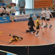 10. turnaj sezóna 2015/2016 (Přípravka) #2