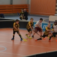 10. turnaj sezóna 2015/2016 (Přípravka) #2