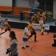 10. turnaj sezóna 2015/2016 (Přípravka) #2