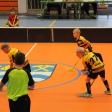 3.turnaj sezóna 2016/2017 (Přípravka žlutí)
