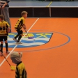 3.turnaj sezóna 2016/2017 (Přípravka žlutí)