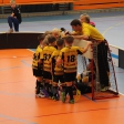 3.turnaj sezóna 2016/2017 (Přípravka žlutí)