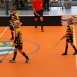 3.turnaj sezóna 2016/2017 (Přípravka žlutí)