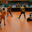 3.turnaj sezóna 2016/2017 (Přípravka žlutí)